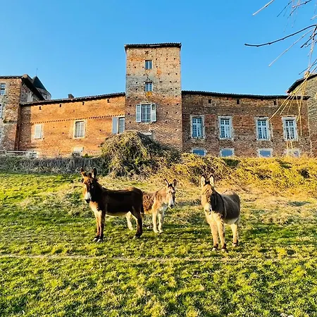 Chateau Du Montellier *