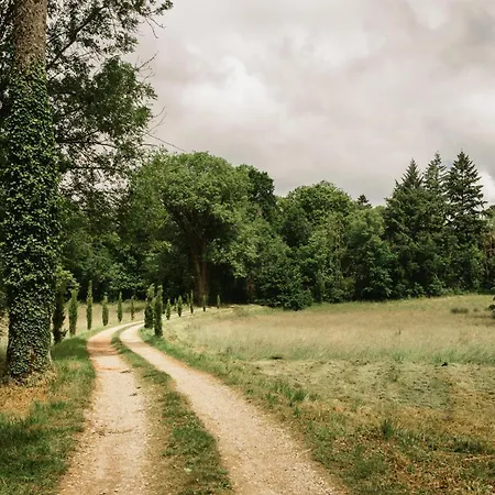 Chateau Du Montellier *